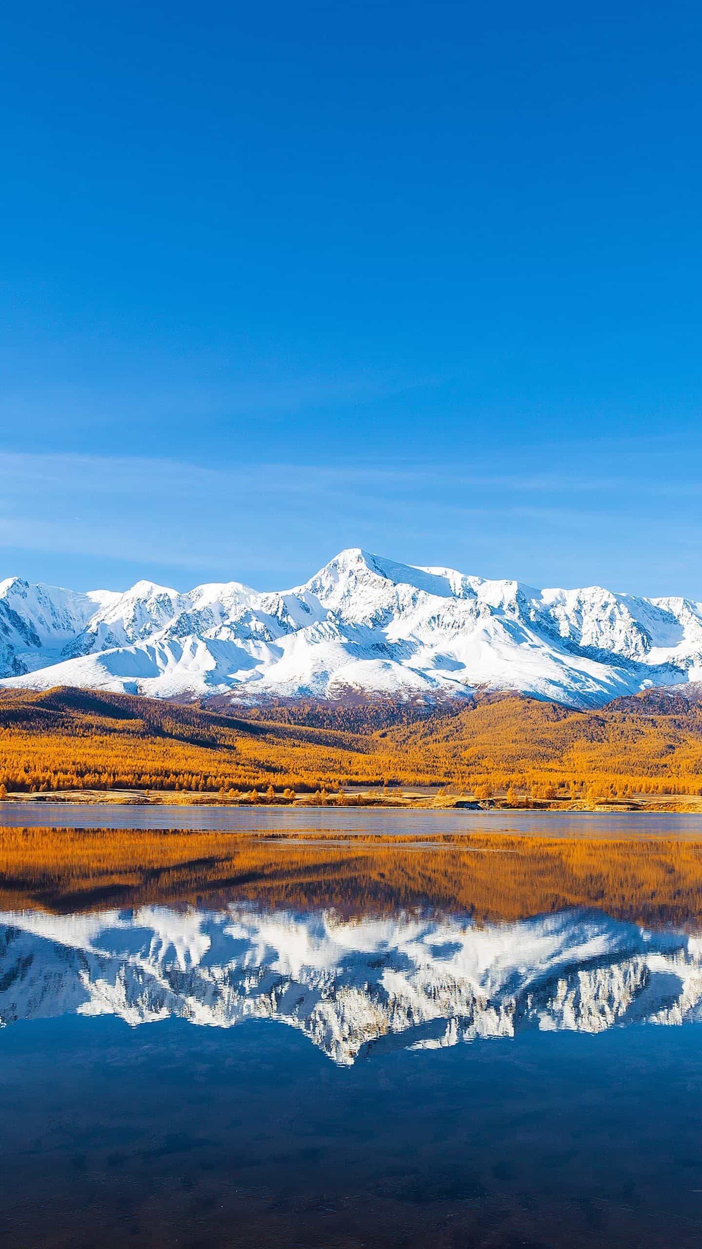 佟丽娅领衔舞蹈诗剧《在远方·在这里》太原首演 ｜ 澳门管家100期谁预测最准最准?